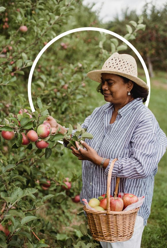 Femme d'âge mûre qui cueille des pommes - perte de poids sans régime ménopause